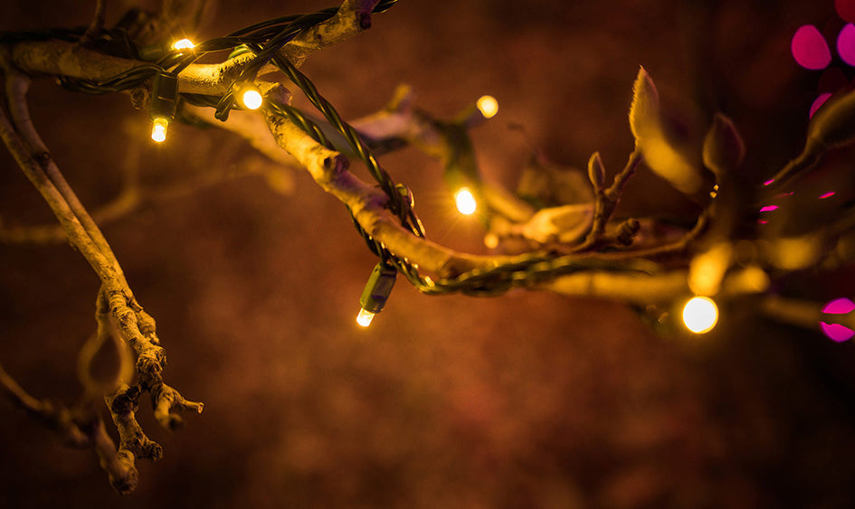 Fotografiando luces navideñas con SIGMA DG DN Art