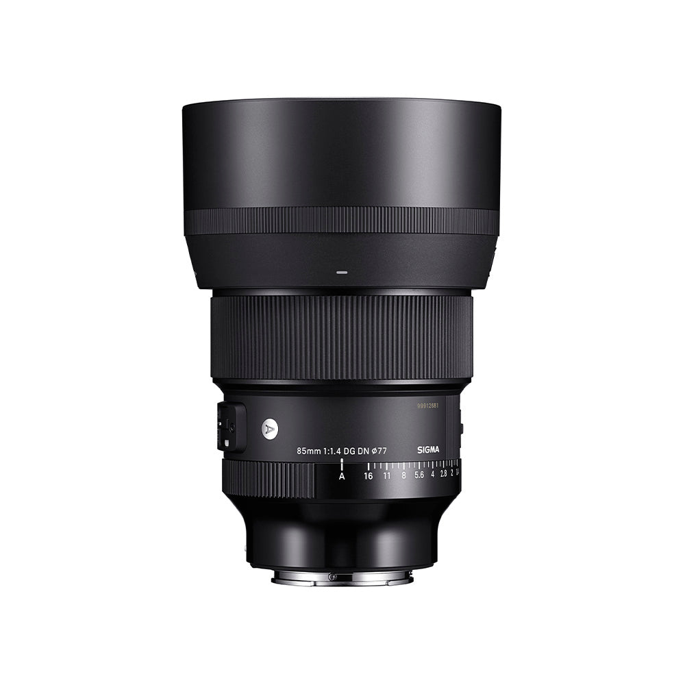 ART 85mm F1.4 DG DN