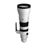 SPORTS 300-600mm F4 DG