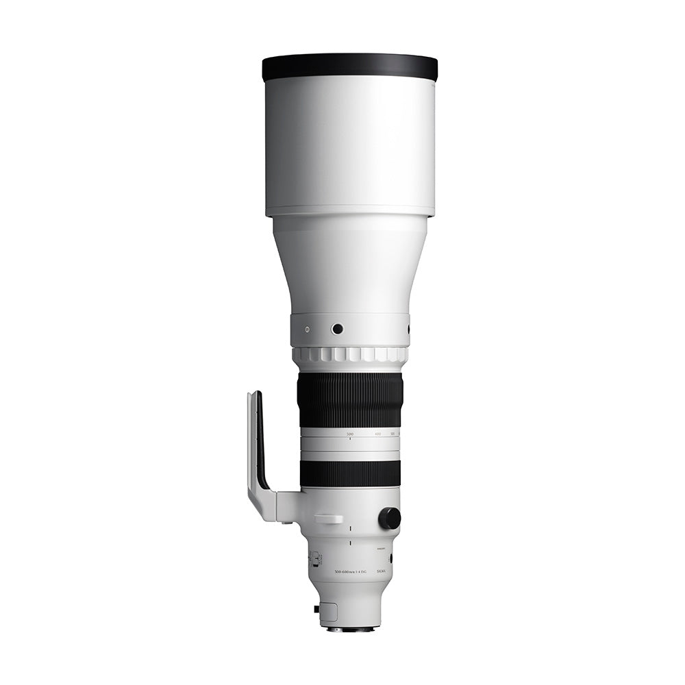 SPORTS 300-600mm F4 DG